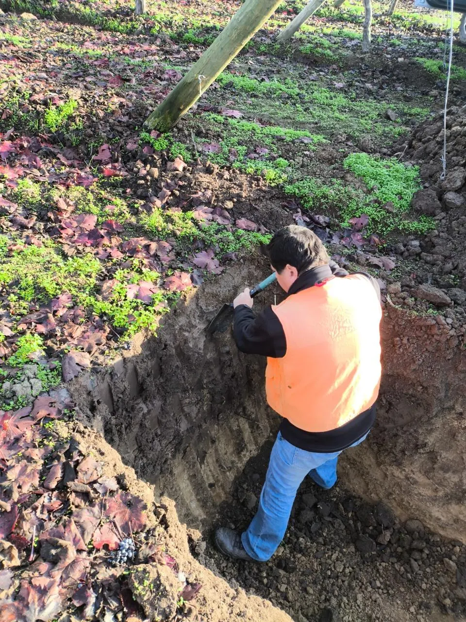 Excavación de calicata para caracterizar el perfil del suelo